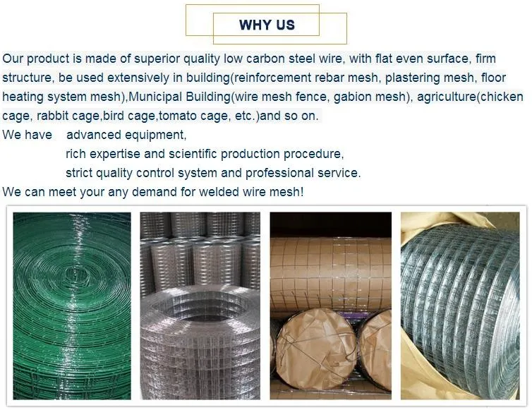 Hs Code For Pvc Coated Galvanized Wires Mesh/galvanized 12mmx25mm