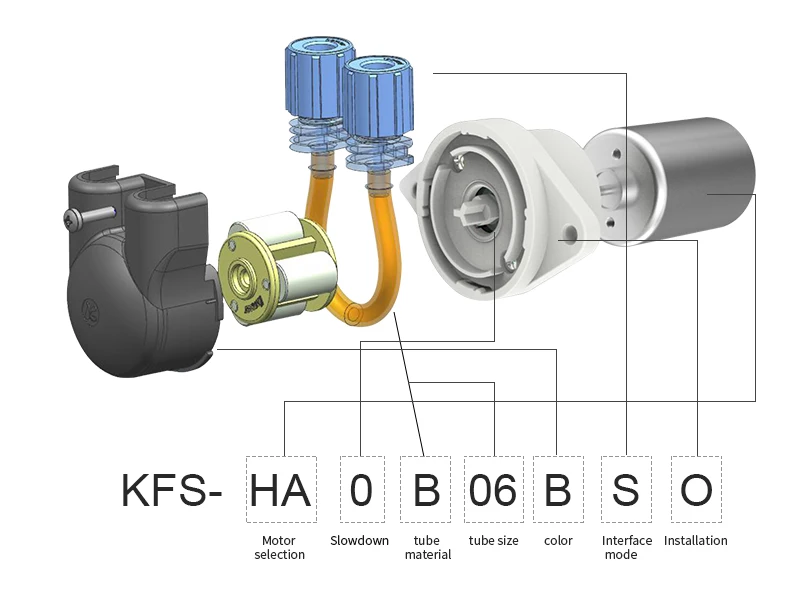 KFS_03.jpg