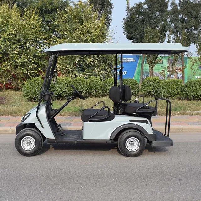 supplier 2 seat electric batteries golf cart sale