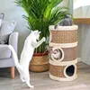 Cute boom china supplier wholesale pet training toys new style pile coating midwest Curious Cat Cube