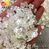 Large supply flower sea shell for wholesale
