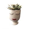 terracotta face plant pot succulent plant pot ceramic plant pot modern