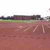 Cheap price synthetic polyurethane rubber athletic running track material