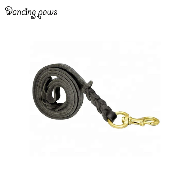 dog leash