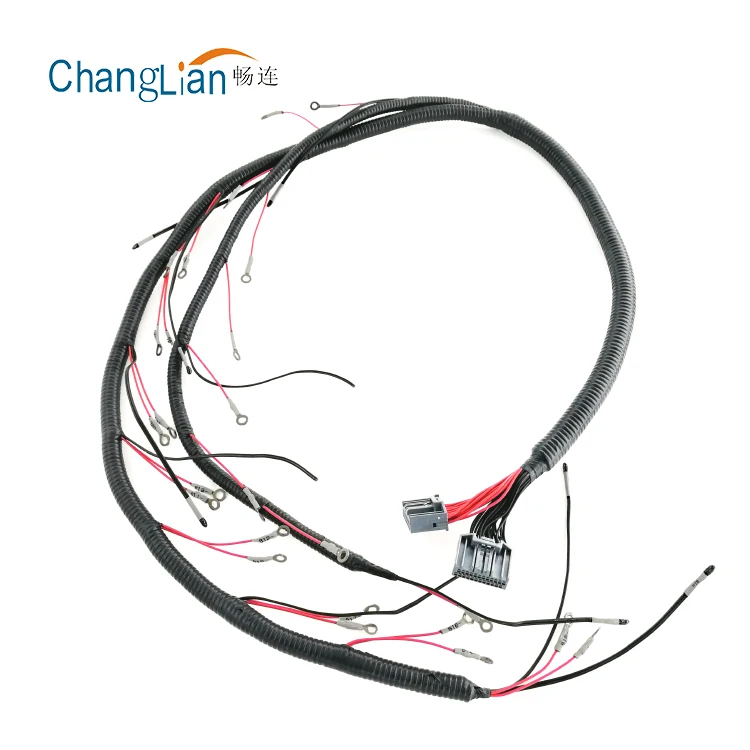Gm U0026 39 97 T56 Standalone Wiring Harness Dbc Camaro