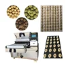 Rotary Mould Hard and Soft Biscuit Making Cookies Forming Machine Cheapest Price