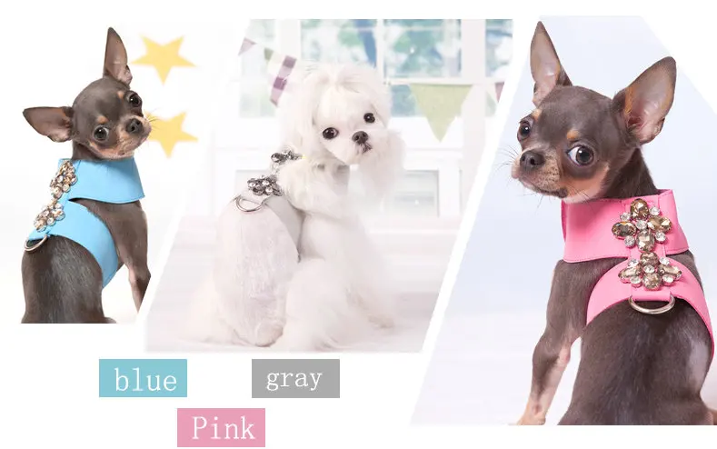 Small Kitten Cat Teddy dog accessories Soft Suede Fabric Fashion jewels puppy Dog Harness with leash set