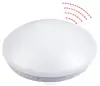 12W Microwave motion sensor LED Ceiling light, LED Wall Sconce Night Light for Hallway Corridor Stairs Closet Depot Bathroom Toi
