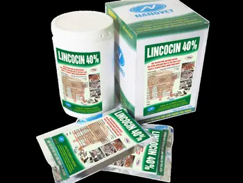 isotretinoin utslett isotretinoin safety