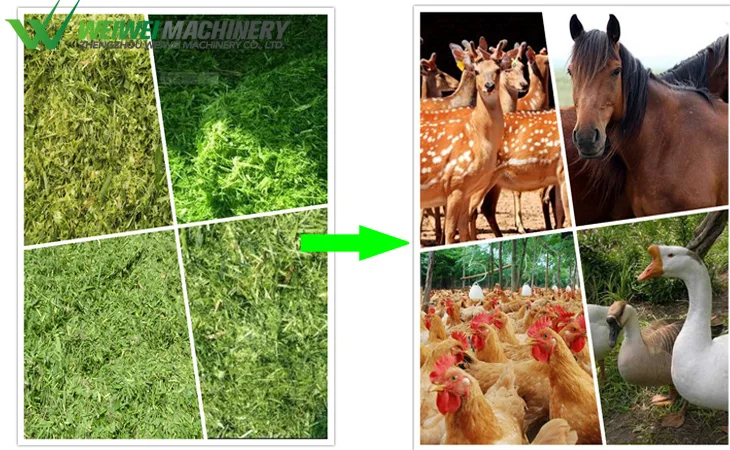 industrial vegetable cutting machine