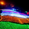 RGB Round LED Net Light Christmas Light 24V For Bushes