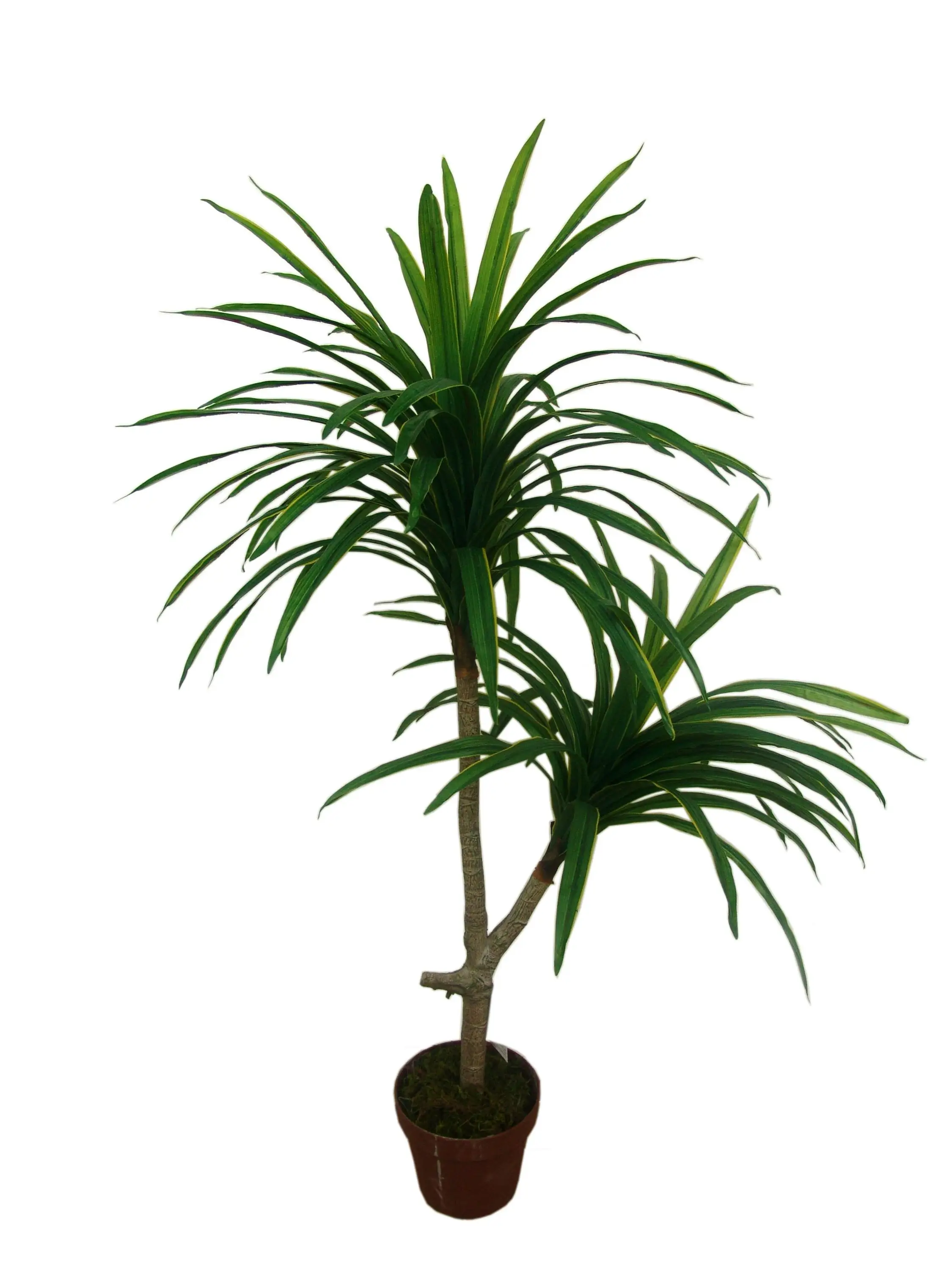 Guangzhou Factory Artificial Yucca Bonsai Plastic Artificial Yucca