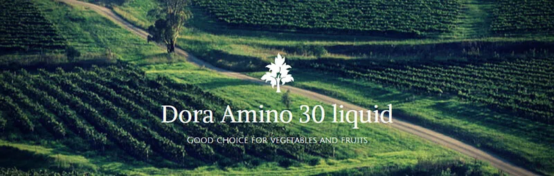 Dora-Amino-30-liquid-1.jpg