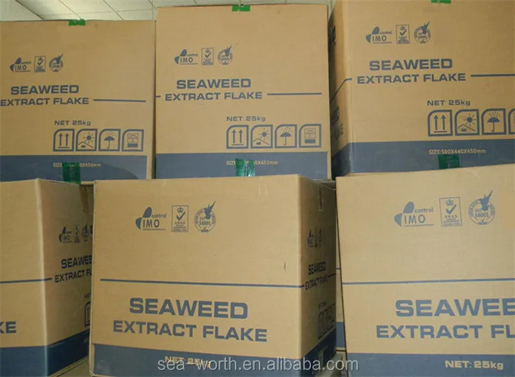 Wholesale dried seaweed for fruit
