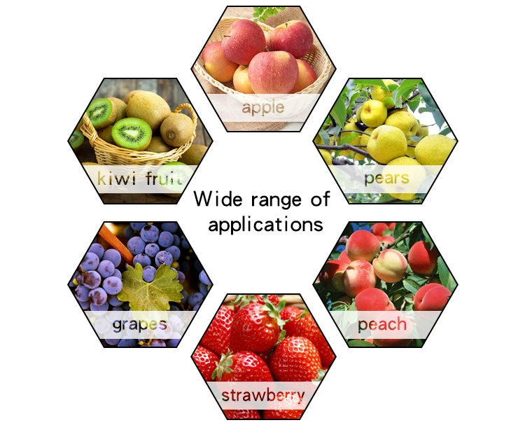 Digital Fruit Sclerometer Fruit  Hardness Tester  AGY15  AGY30  Portable Penetrometer Hardness Tester price