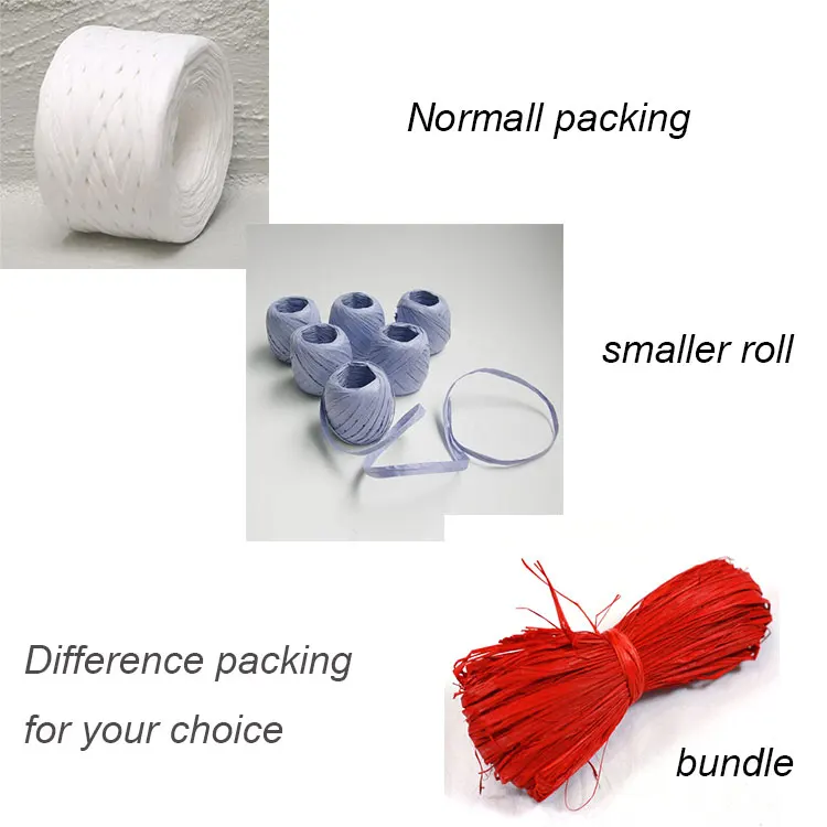 paper raffia.jpg