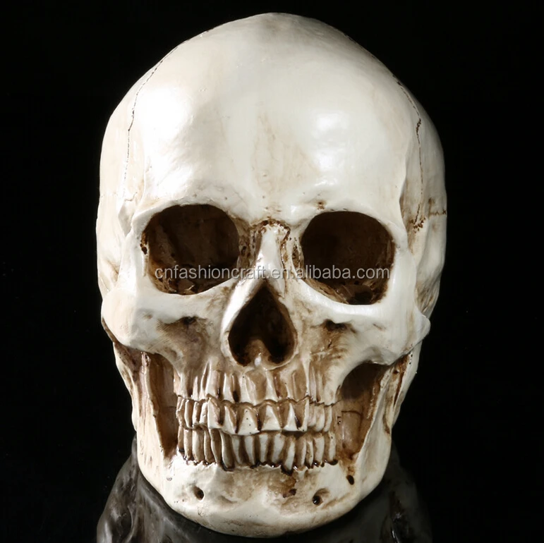 wholesale halloween skull wholesale halloween skull suppliers and manufacturers at alibabacom - Halloween Skulls Pictures wholesale halloween skull wholesale halloween skull suppliers and manufacturers at alibabacom - Halloween Skulls Pictures
