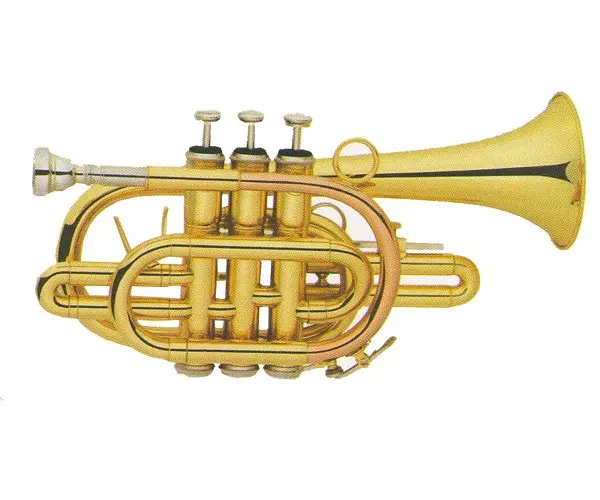 C Key Xctr002 Cheap Children Trumpets For Sale Buy Child Cheap Trumpet,Child Trumpet Of Price