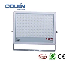 10 watts 100 watts Ultrathin LED Floodlight