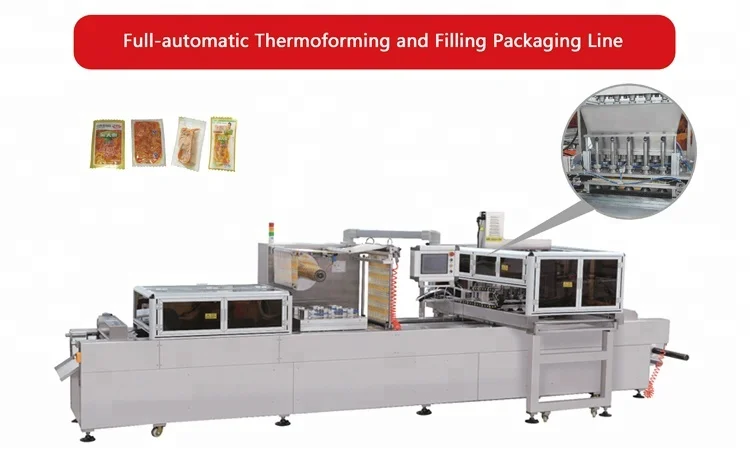 Thermoforming Vacuum Skin Packaging Machine