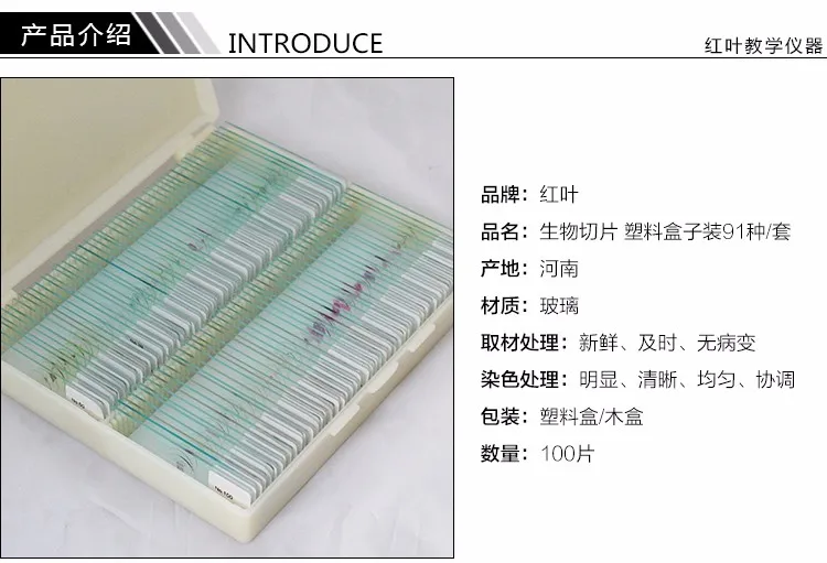 002 microscope slides specimen.jpg
