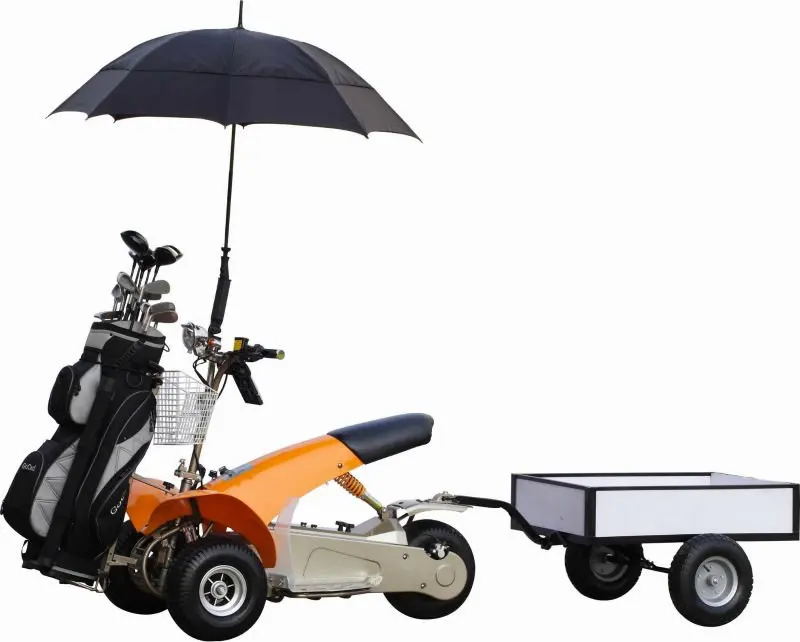 remote control golf buggy for sale