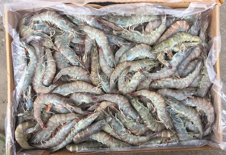 frozen shrimp.jpg