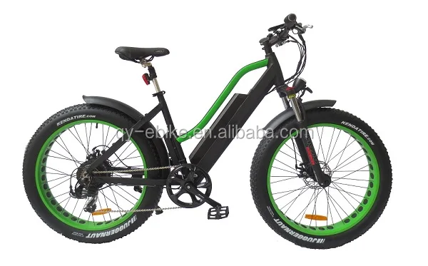 eco ebikes