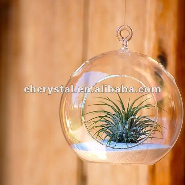 Glass Globe Orb Air Terrarium,Glass Orb Mh12783 Buy Glass Globe