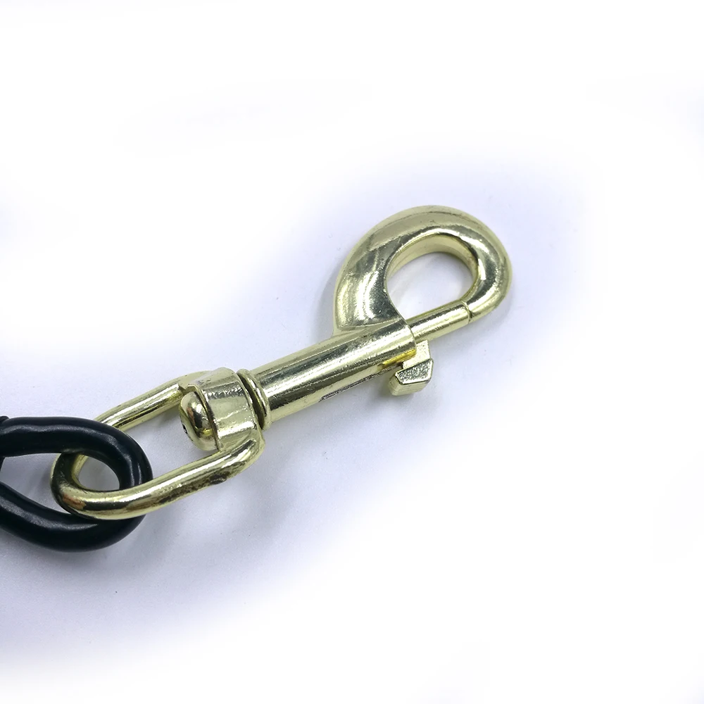 Hot Selling Aluminum Coated Steel Dog Tie Out Cable Customized Carabiner