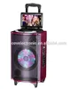 OEM Guangzhou COV factory price supply 8 inch mobile trolley outdoor speaker dvd speaker with 12 inch LCD screen
