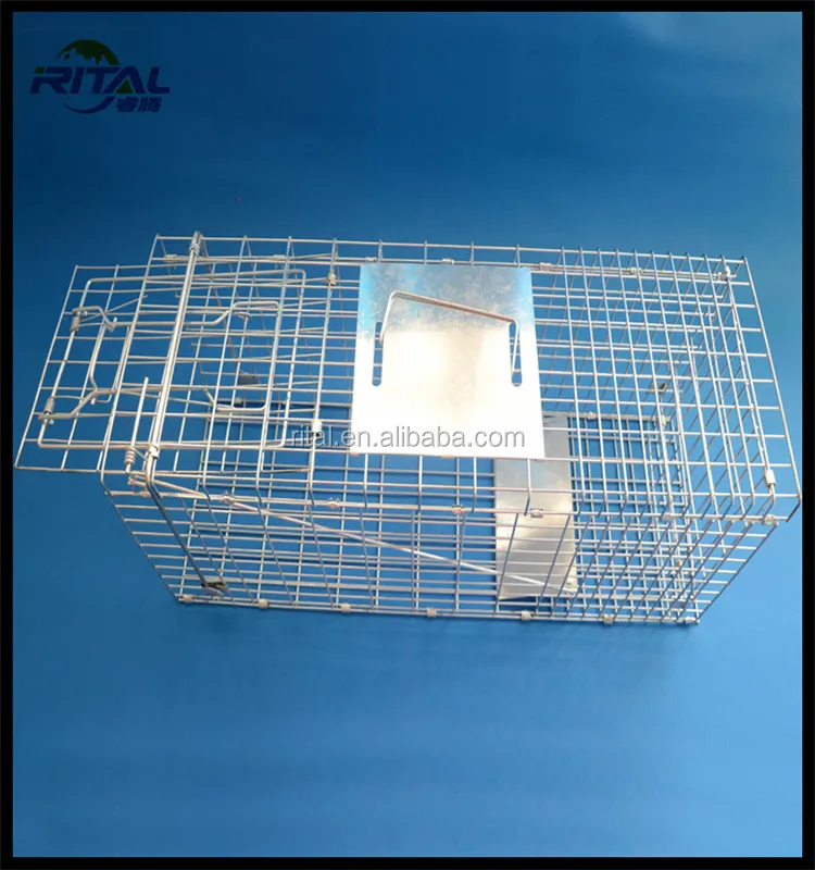 Cage Chat Pieges Sans Cruaute Cage Chat Trappe Buy Cage Chat Trappe Product On Alibaba Com
