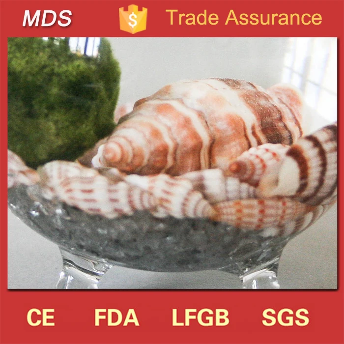 Handblown clear design glass vase mini terrarium wholesale