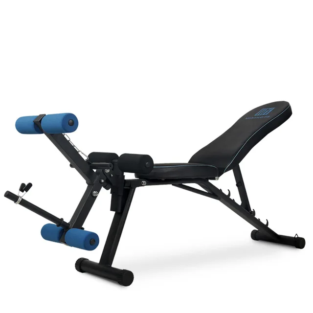 Professional Foldable Dumbbell Exercise Bench Multi Function Ab