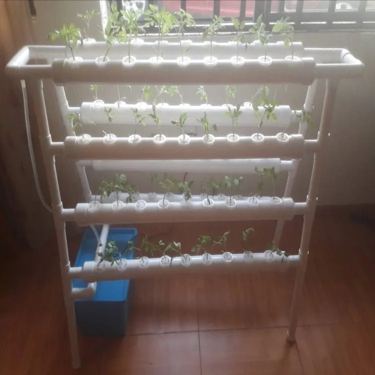 Hydroponic-System-.jpg