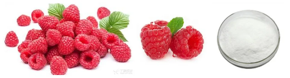 Raspberry ketone essay image