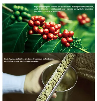 Green mountain perfect peach coffee photo 7