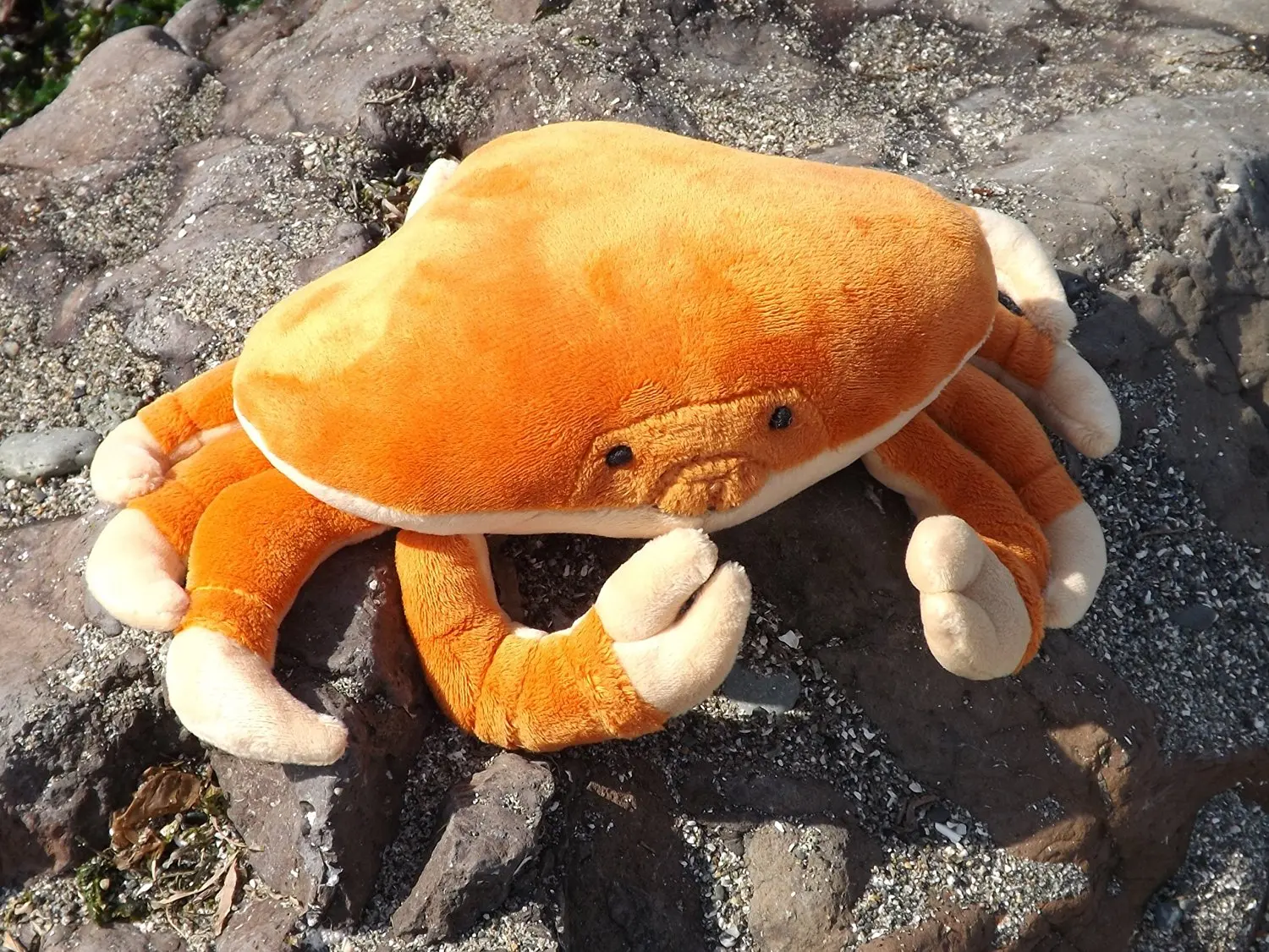 Dungeness Crab Plush Toy Animal - 11" Plush Crab from This Place is a Zoo