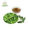 GMP Factory Supply High Quality Green Tea Extract EGCG 50%-98%