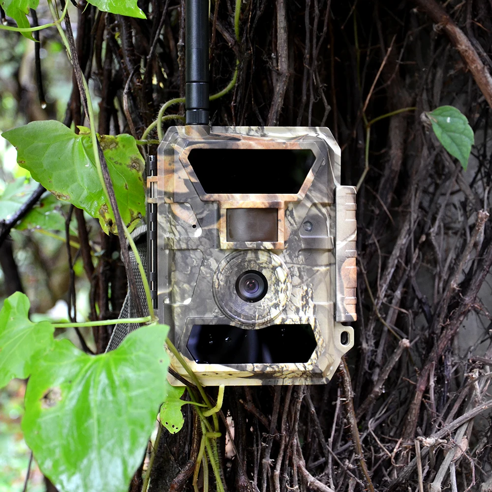 motion detector wildlife camera