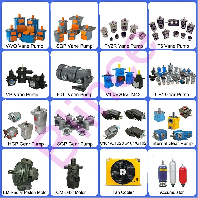 Blince hydraulic pump