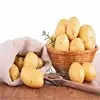 New bulk sweet potato starch for wholesales