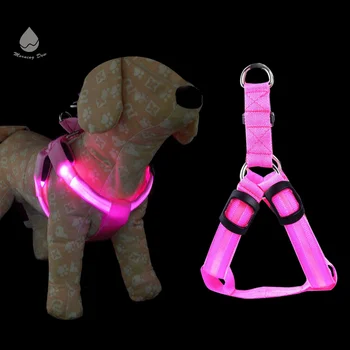 flashing dog harness