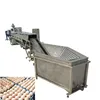 Brush type chick egg cleaning machine / duck egg washing machine / goose egg washing machine