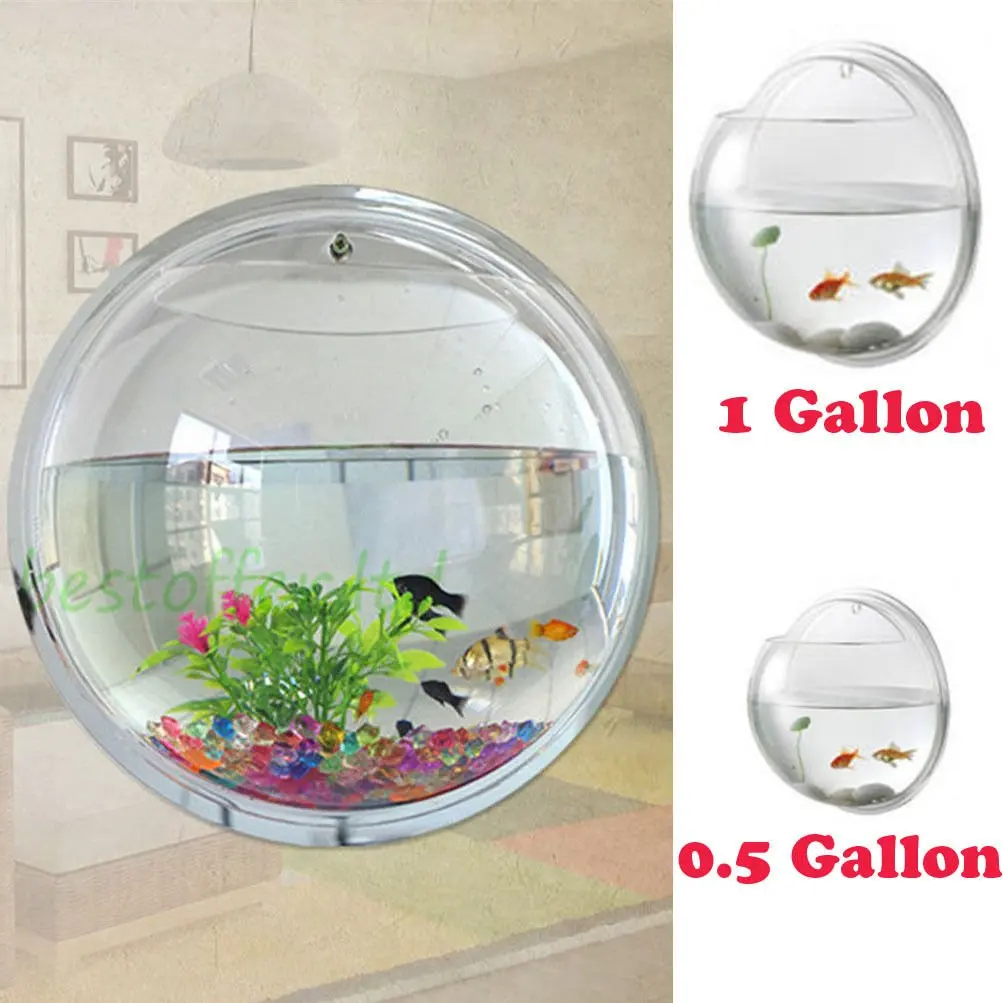 one gallon fish bowl
