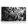 Black and White Leopard Picture Animal Poster Wildlife Photo Canvas Prints Gallery Wrap for Home Wall Living Room Decoration