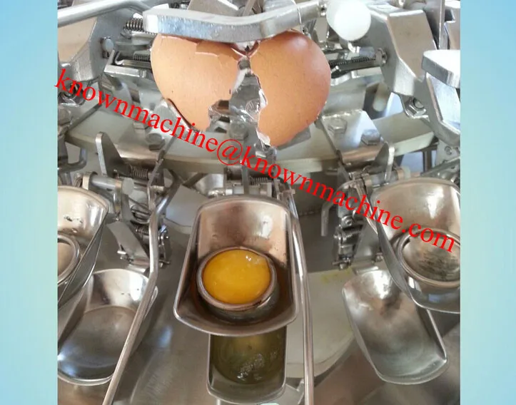 Professional Automatic Egg White And Egg Yolk Separator,Egg Processing