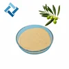 Manufacturer supply olive leaf extract / oleuropein 25%