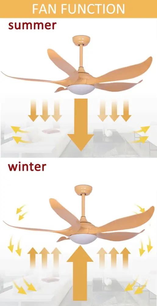 modern ceiling fan