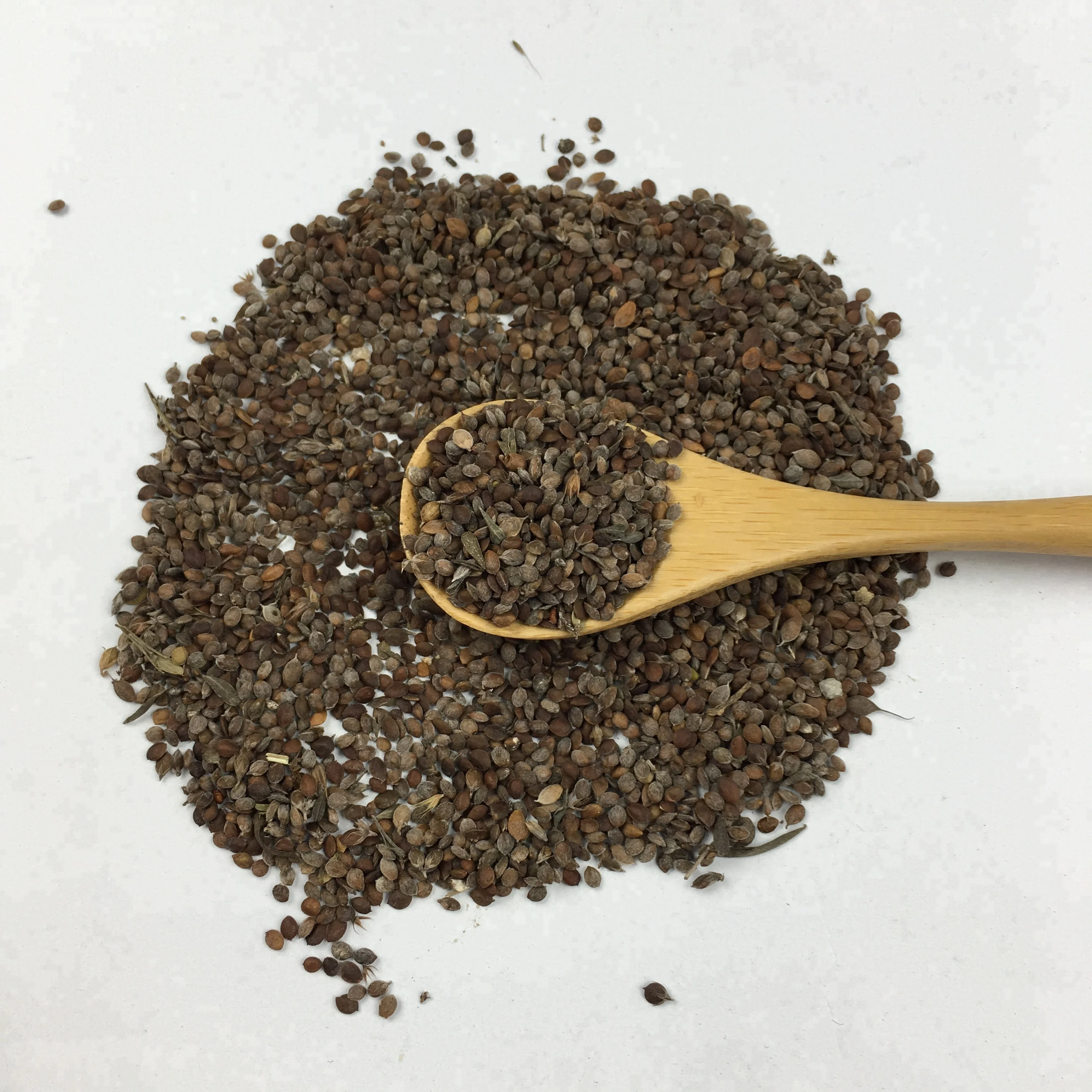 Lespedeza Bicolor Factory Supply Herbal Medicine Lespedeza Seeds In